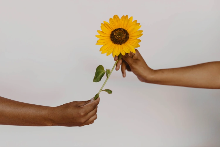 Musoya Health abortion care companion providing support across Africa